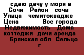 сдаю дачу у моря в Сочи › Район ­ сочи › Улица ­ чемитоквадже › Цена ­ 3 000 - Все города Недвижимость » Дома, коттеджи, дачи аренда   . Брянская обл.,Сельцо г.